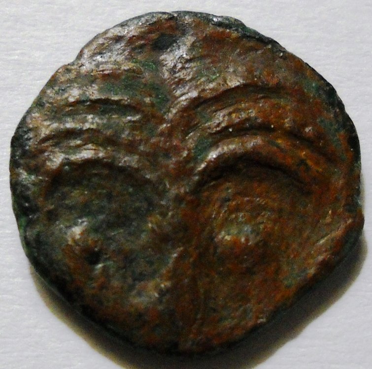 DSCN2670.jpg