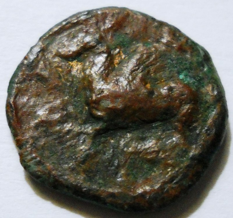 DSCN2671.jpg