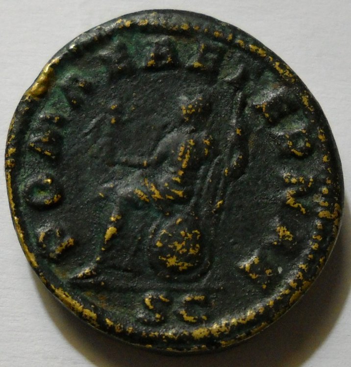 DSCN2683.jpg