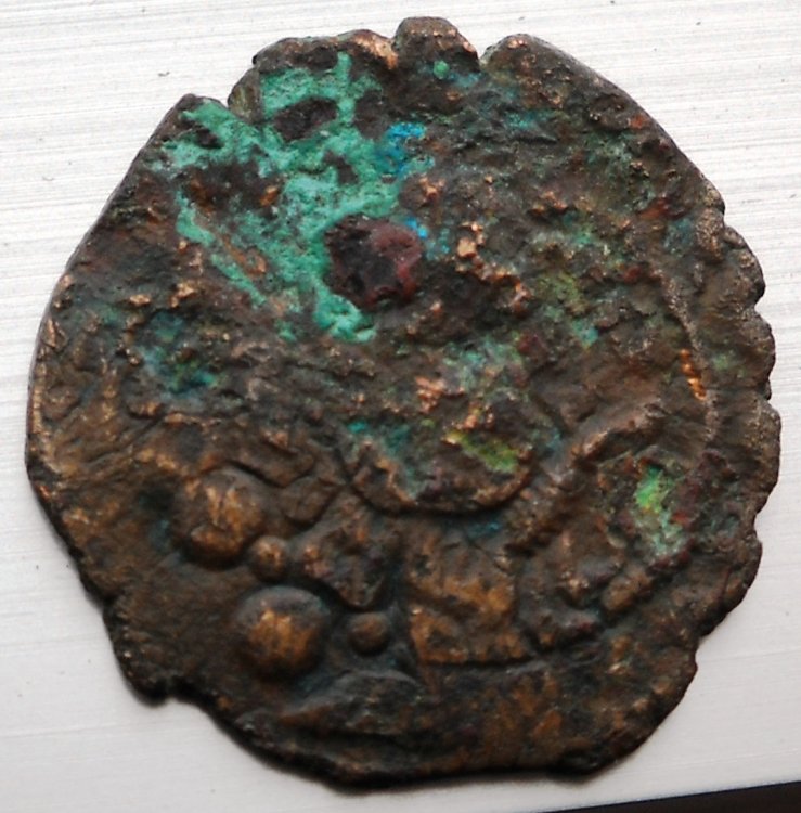DSCN2698.jpg