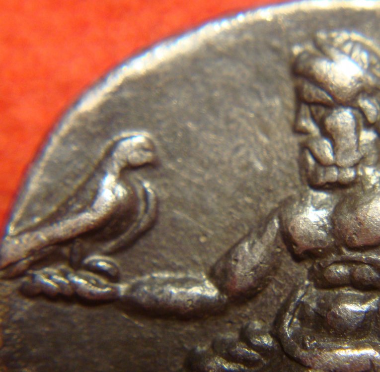 Rovescio H11B.jpg