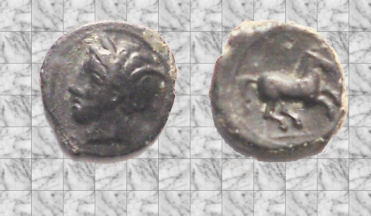 58ff0707b12ce_CarthagoZeugitaniaTriptolemus.JPG.ca17e5ffc3db37bf3b40fa86ef92c0d2.JPG