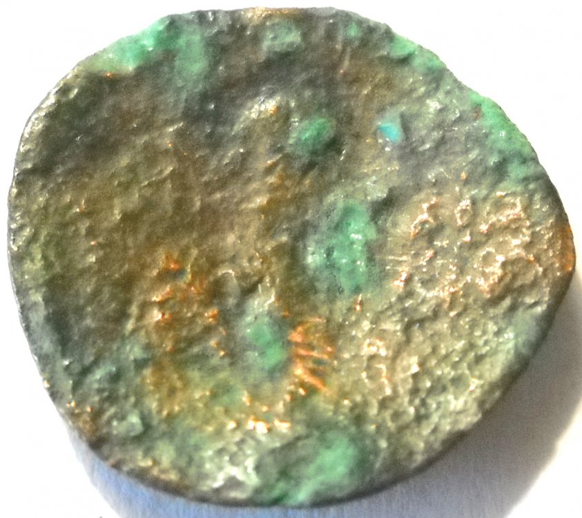 DSCN2715.jpg