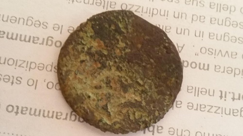 20170505_174003.jpg