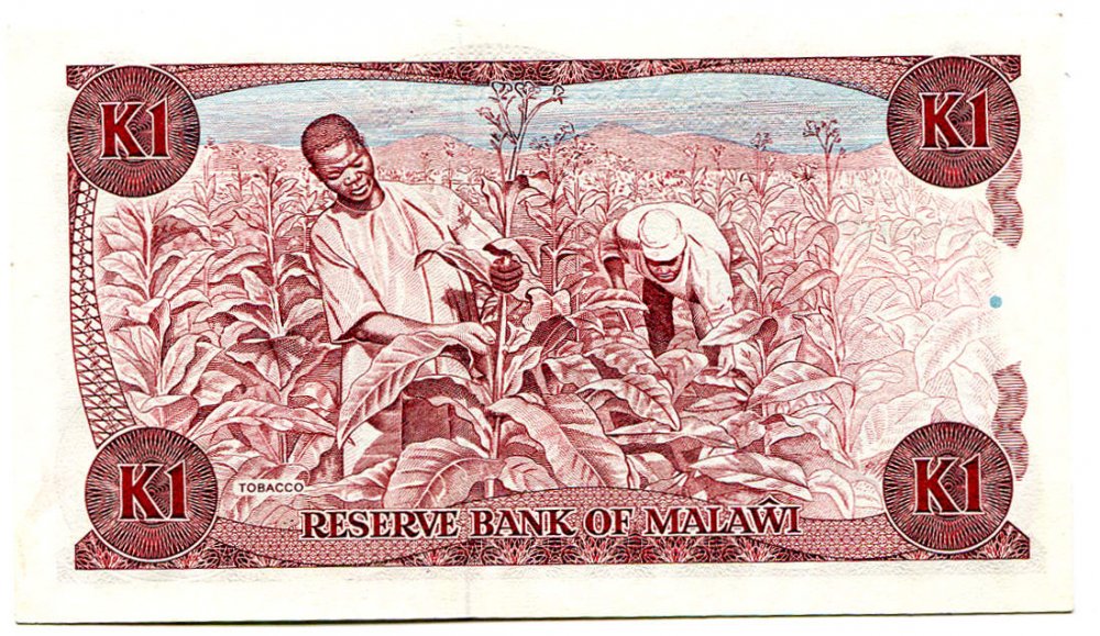 592d8d9e1bd73_malawi2.thumb.jpg.22f92b55f10c5f7ecb27a52286d33f37.jpg