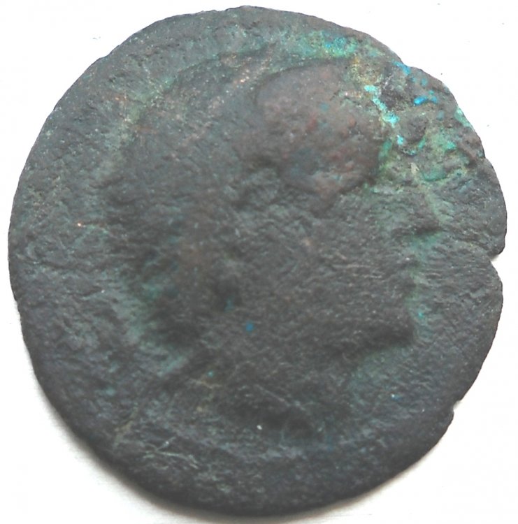 DSCN2812.jpg