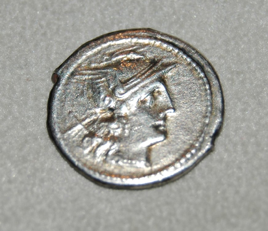 DSC_5699.JPG