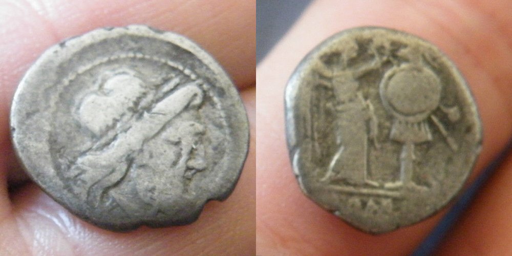 sconosciuta.thumb.jpg.79091c41dcb8702f7c2e6dbdb246d622.jpg