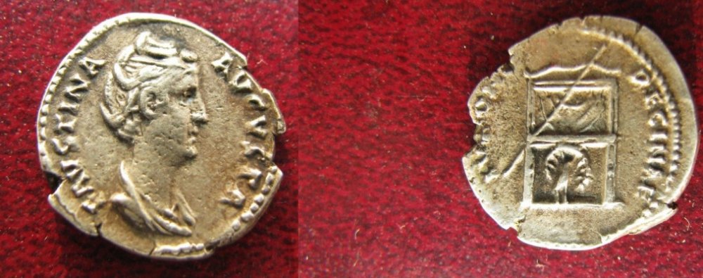normal_Faustina_sen2.thumb.jpg.0a969843b83f6b2ad74bd56e8e678ce7.jpg