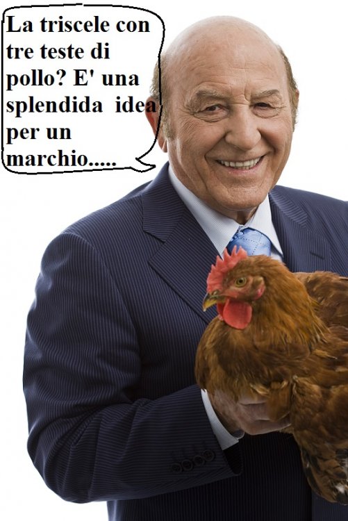 12_FA_pollo_in_mano.jpg