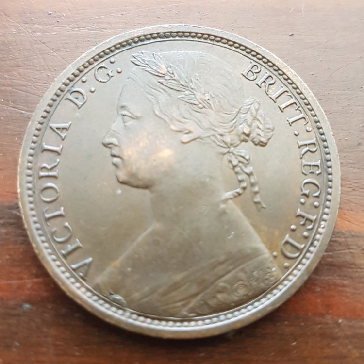 penny r.jpeg