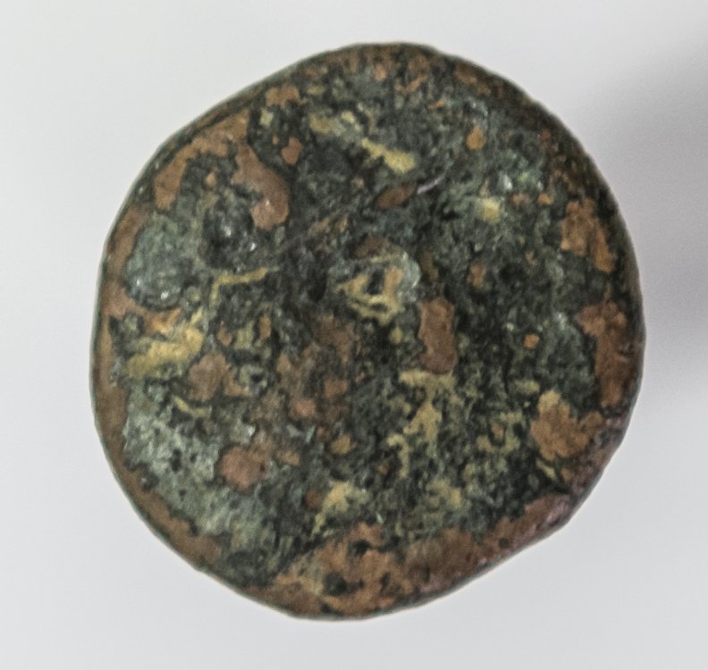 Moneta-1.jpg