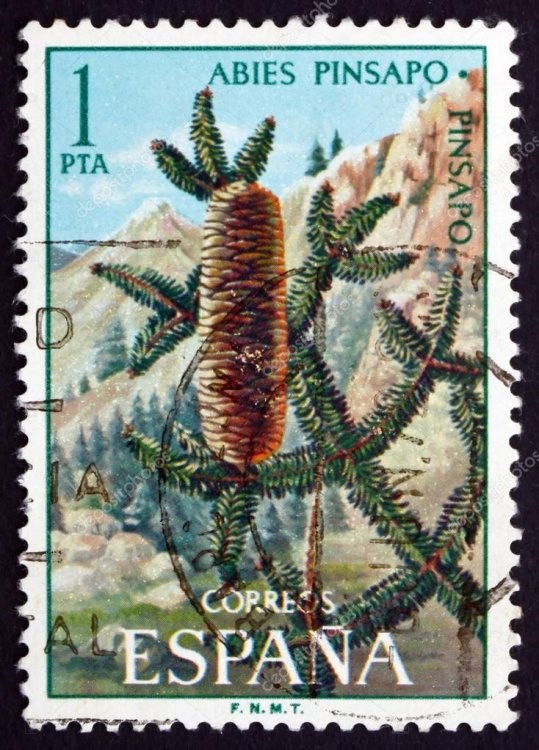 depositphotos_40362977-stock-photo-postage-stamp-spain-1972-spanish.jpg