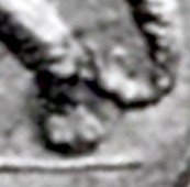 599f0505398ce_44-42-Shekel-NAC_9_16-iv-1996_294MuM_61_1982_233_649dettagliozampa.jpg.e9b1b67a75c11436cb09ff7a78b9c964.jpg