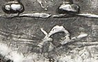 599f07c59070e_46-22-Shekel-GornyMosch_236_7-iii-2016_322_641dettaglioAleph.jpg.8a1badde0364561cf141e74f8e850866.jpg