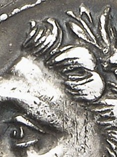 599f09ba18c51_46-22-Shekel-GornyMosch_236_7-iii-2016_322_641dettaglioocchi.jpg.8d3836b9146c0596fac9738ae559e269.jpg