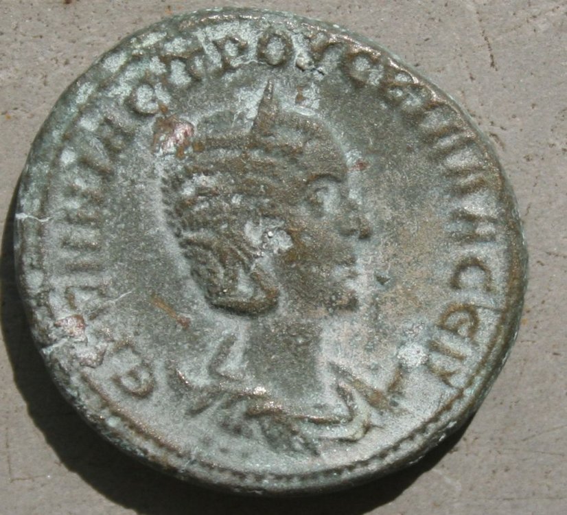 etruscilla d.JPG