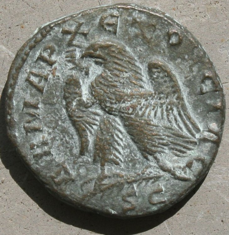 erherrenio etrusco r.JPG