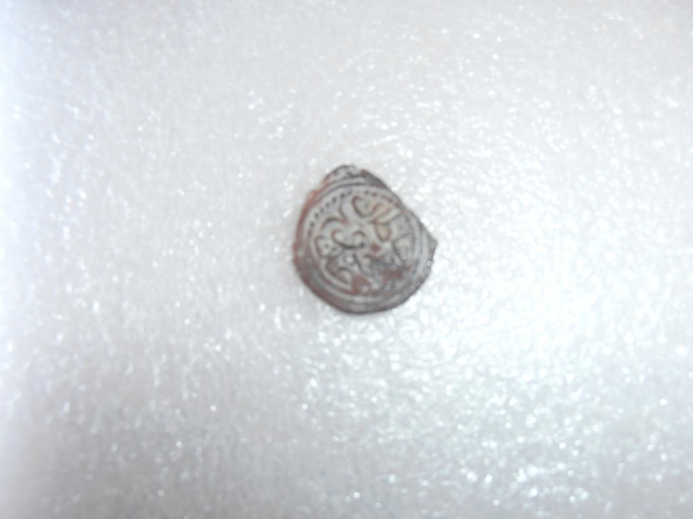 P9200036 (FILEminimizer).JPG