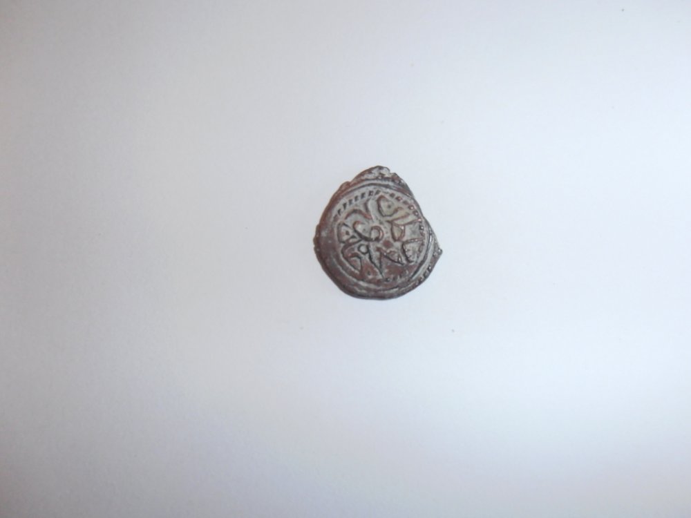P9210042 (FILEminimizer).JPG