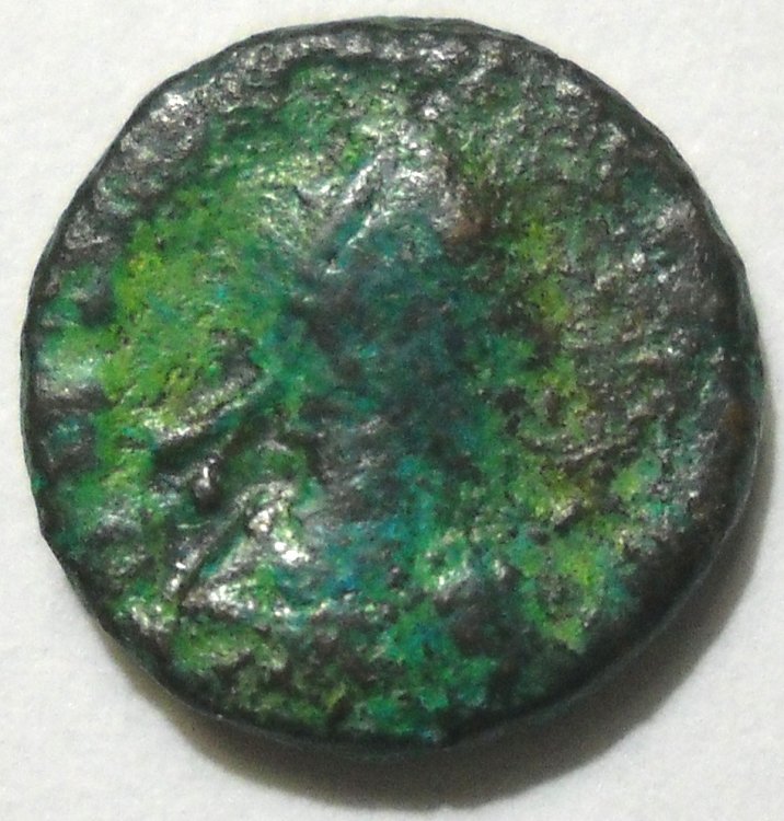 monetina a.jpg