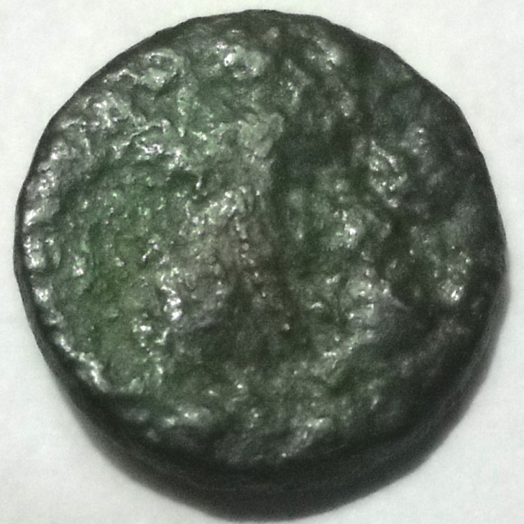 monetina b.jpg