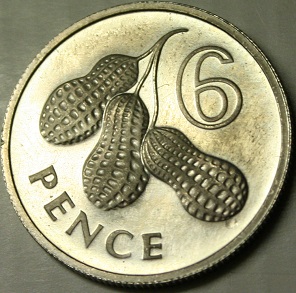 59e7ae1ebaea0_Gambia6pence1966proof6000pezzi(1).JPG.648e419f30640046a005866e885136a1.JPG