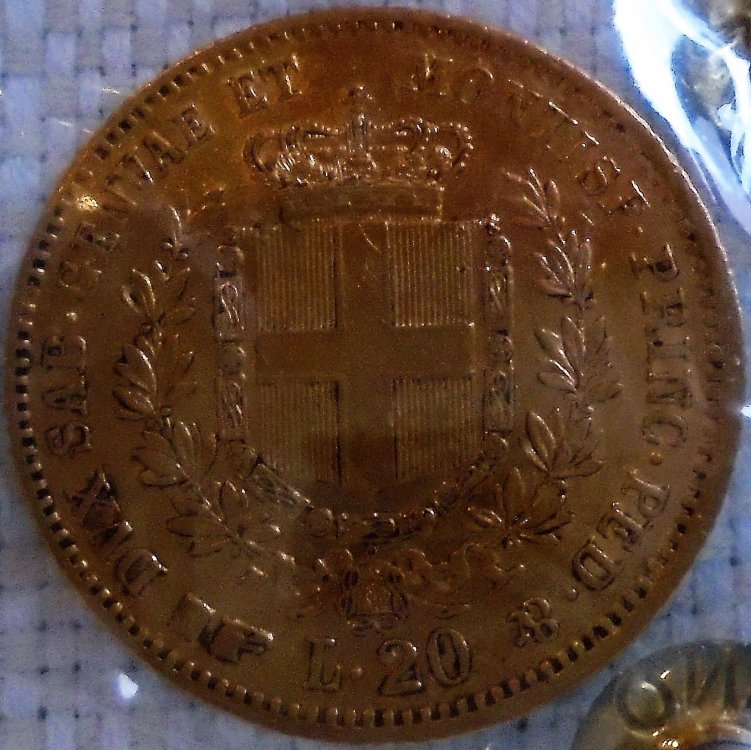 LIR1861 (2).JPG