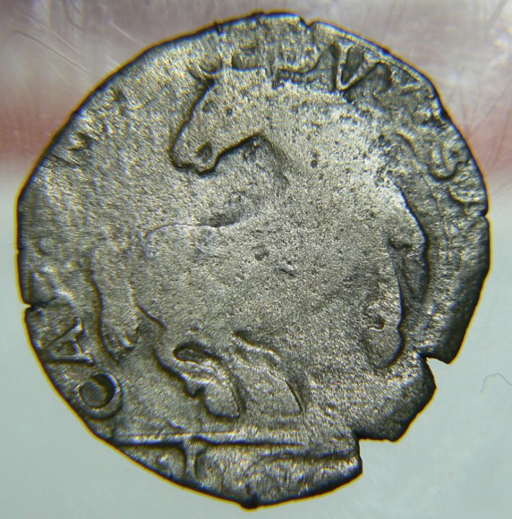 P1330292tb.jpg