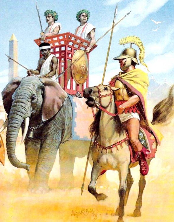 Elefante e cavaliere dell'esercito tolemaico, II secolo a.C..jpg