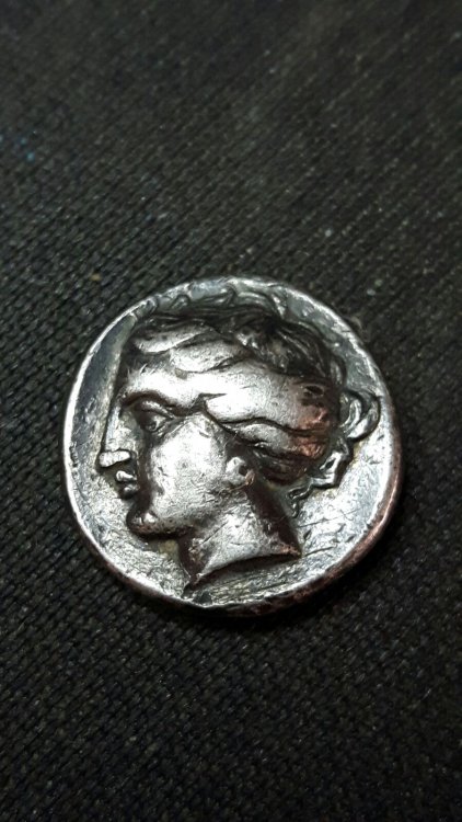 GRECA1.thumb.jpg.b86fd4d34b3234b43d8530f1c0437344.jpg