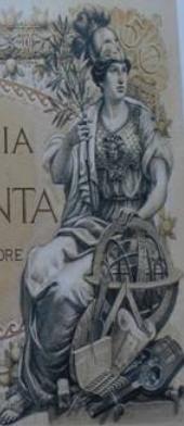 verticalca.jpg.ea192721a2f120f6b46e92d64873fef1.jpg