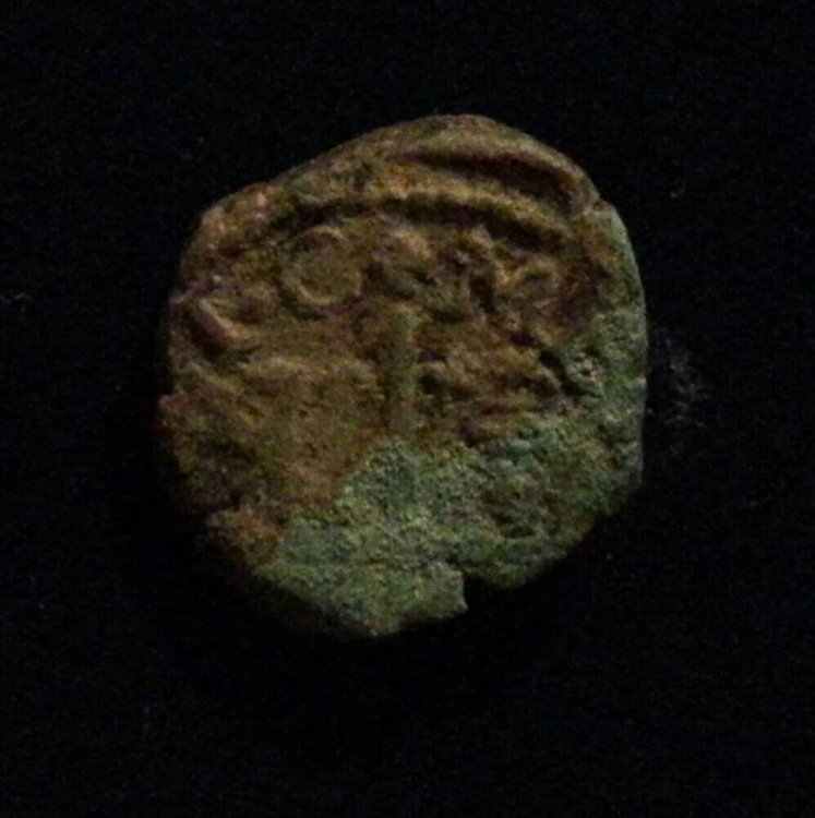 20180203_200505-1.jpg