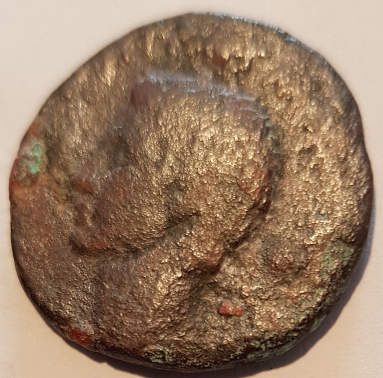 20180228_140129.jpg