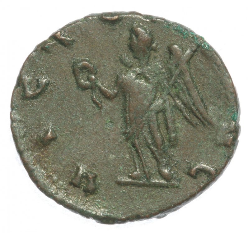 5a783da41f6ce_ClaudioII-02.thumb.jpg.05538cda8df7f99df26e49b03f2fbe80.jpg