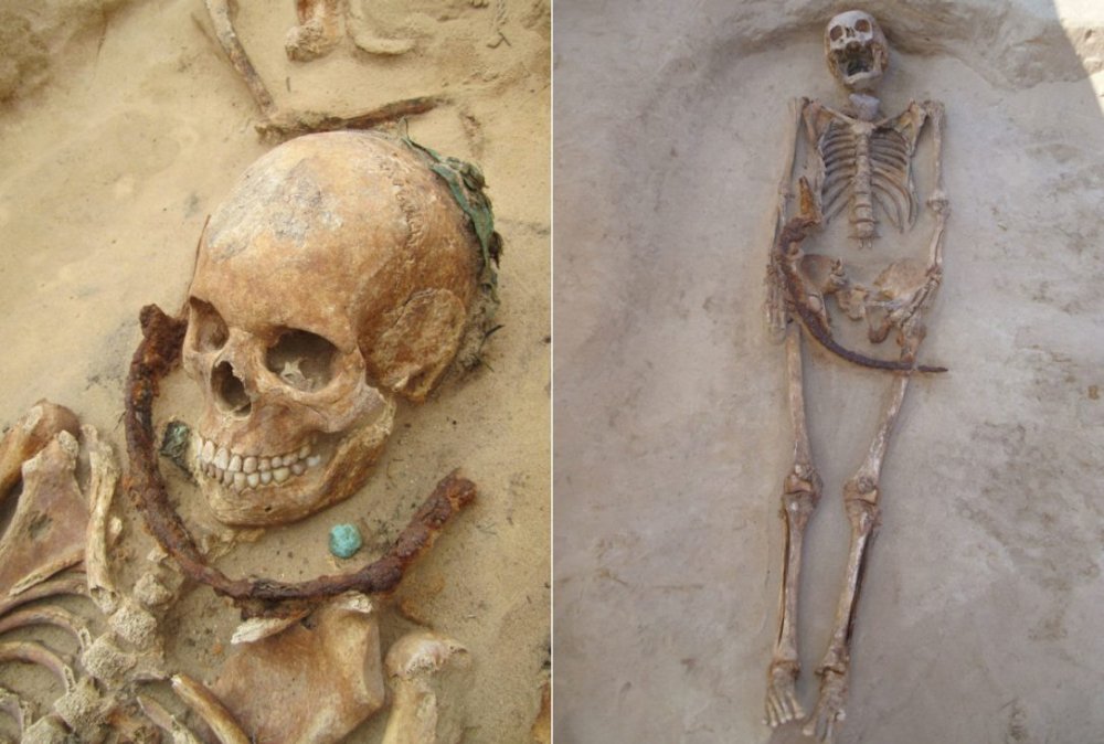 skeleton-composite.jpg.size-custom-crop.1086x0.thumb.jpg.a09968a161575879f2b78afd0c6519fc.jpg
