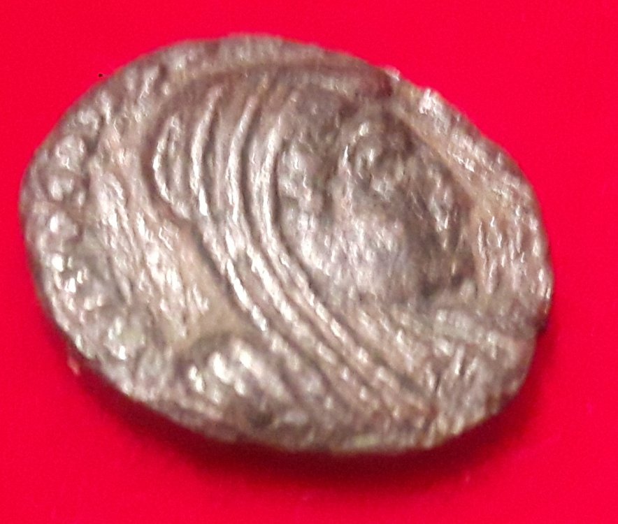 20180415_195242.jpg