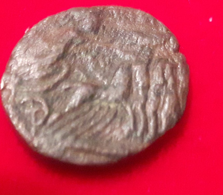 20180415_195252.jpg