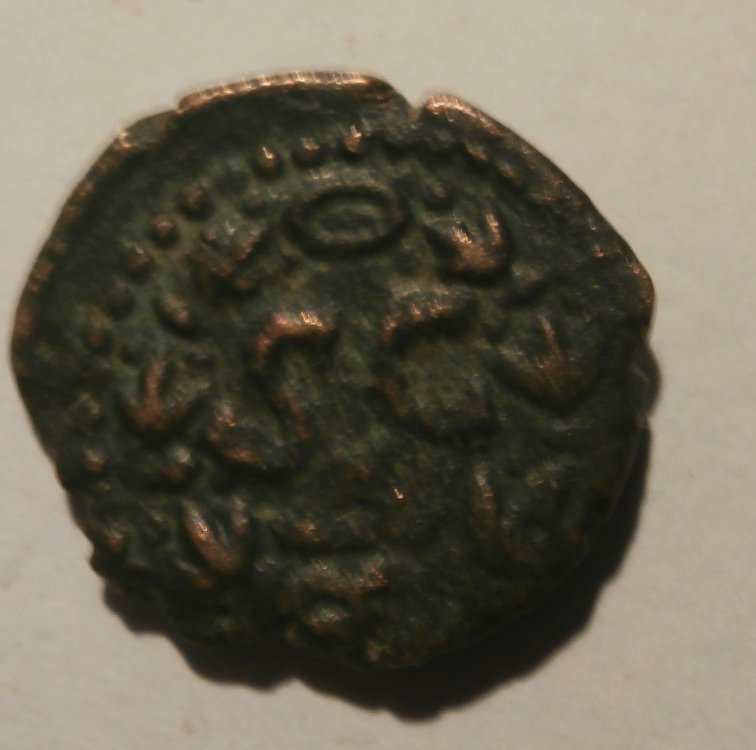 P4020001.JPG