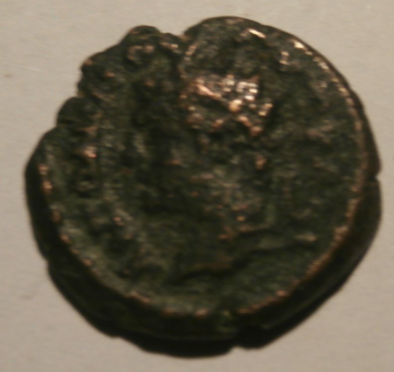 P4020002.JPG