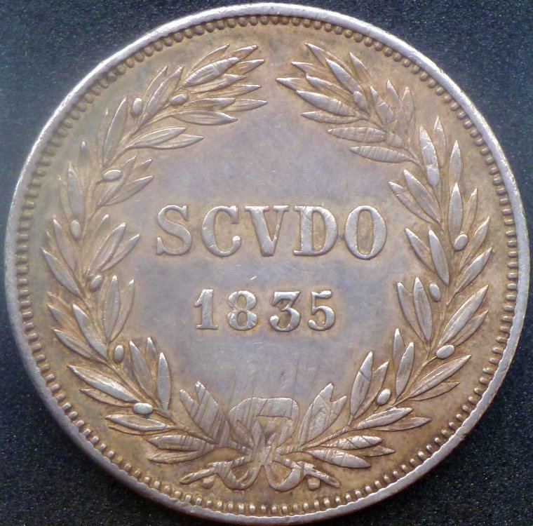 scudo_1835_R.jpg