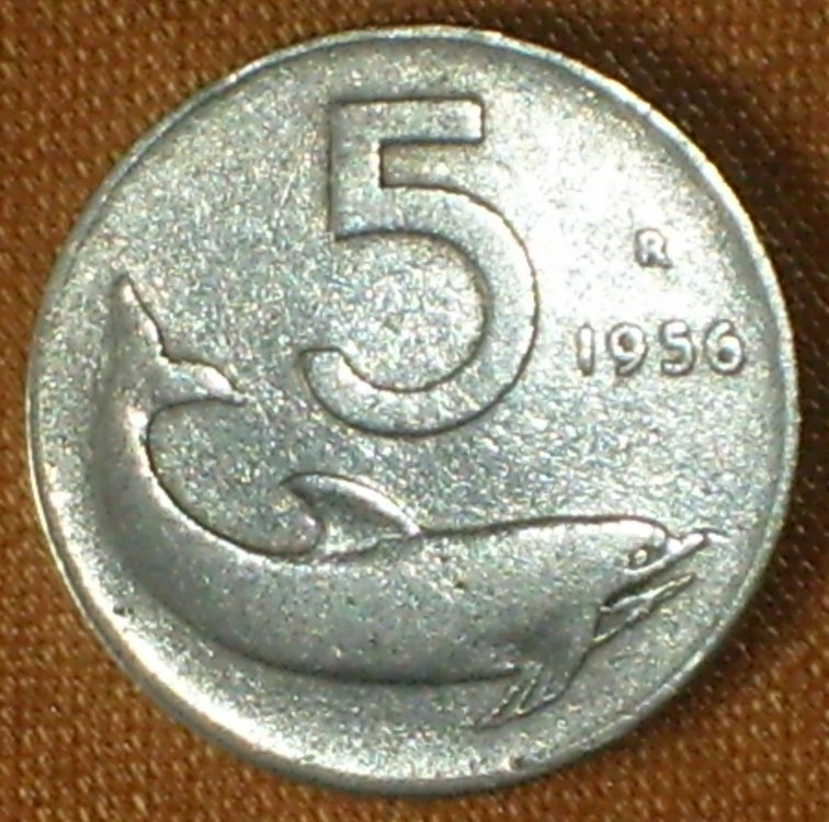 5 lire 56 r.jpg