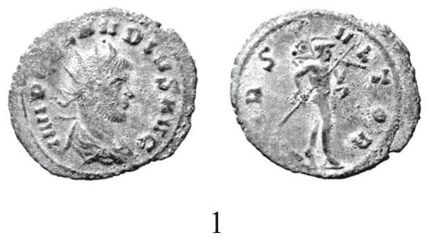 967978148_ClaudioII--hoard2.jpg.962cd59c558b5002420ea369d22d5028.jpg