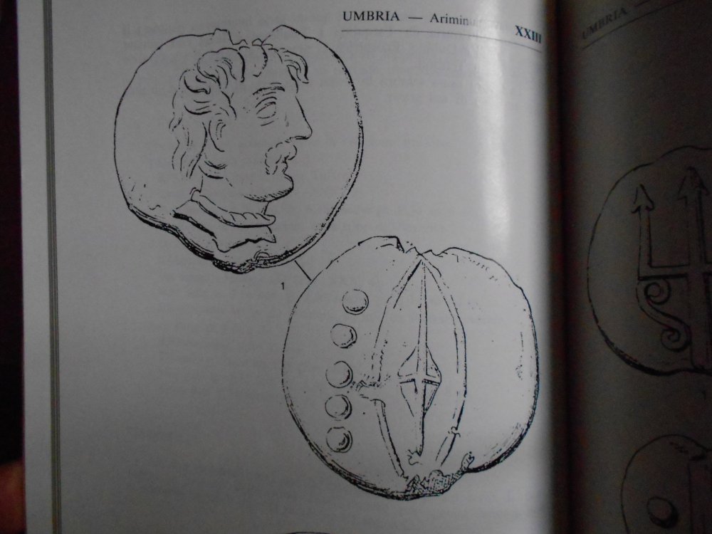 DSCN2316.JPG