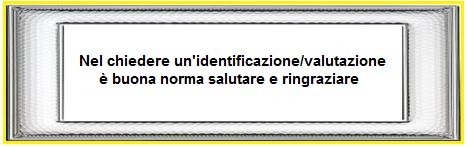 imm.jpg.764cba8cf7a8291e55ad054ae7043a9d.jpg