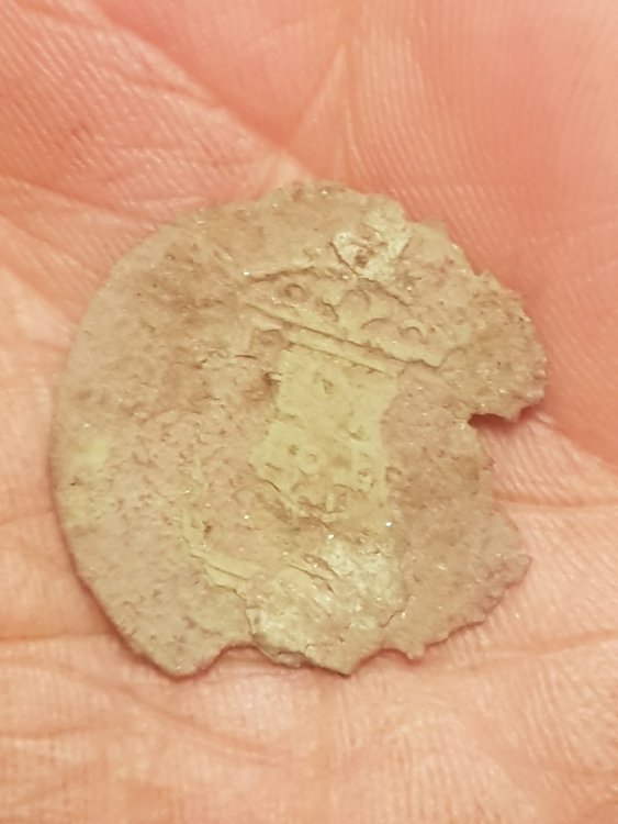 20181209_001723.jpg
