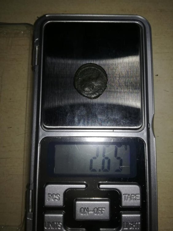 47573574_10216024241912932_4231897767137509376_n.jpg