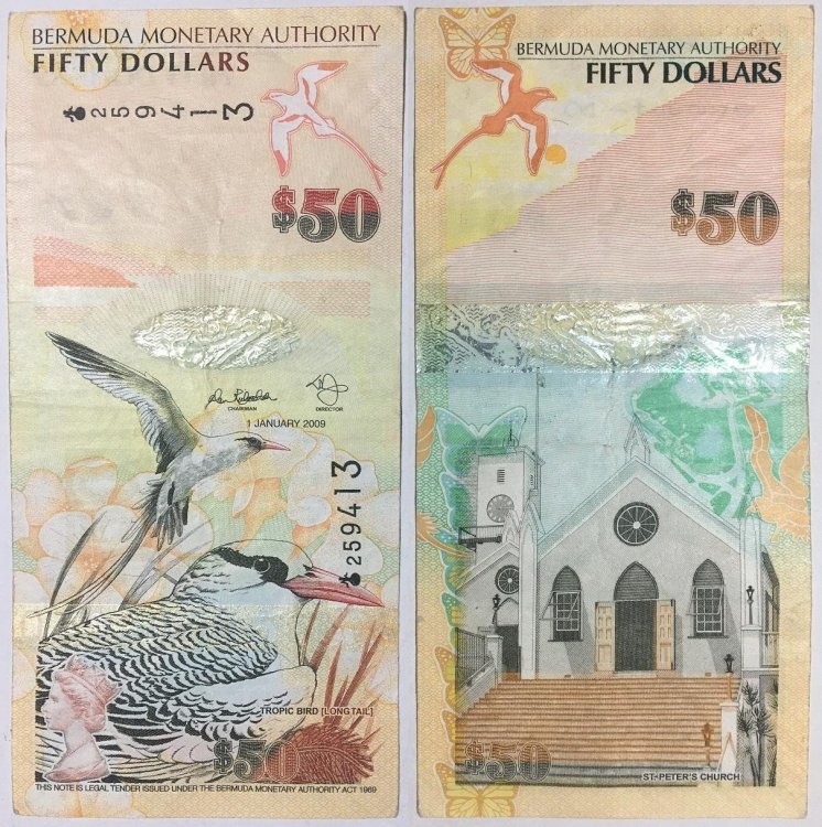 50-DOLLARI-2009.JPG