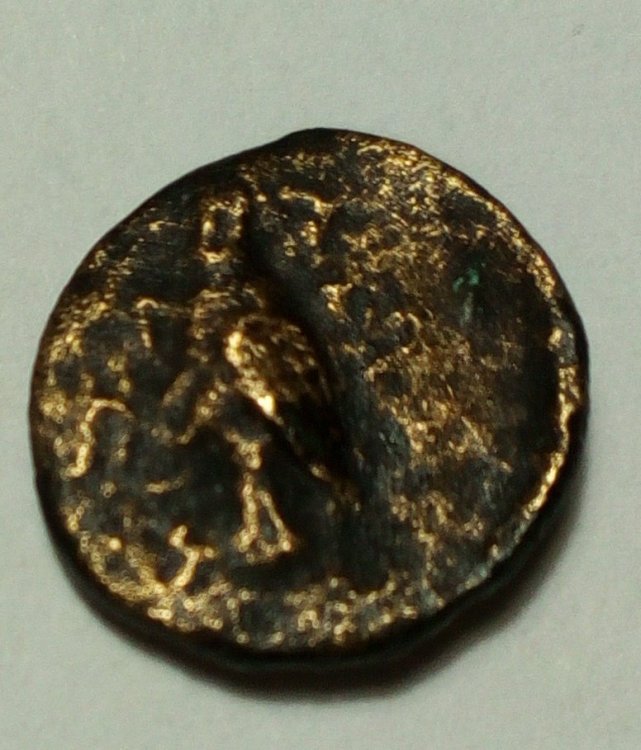 AR greca 3R.jpg