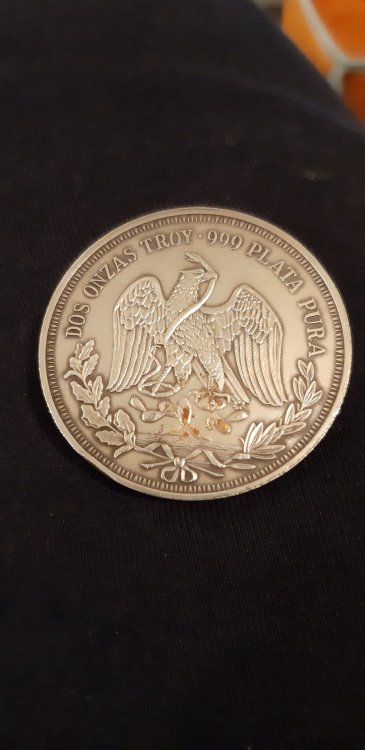 1548609945607912.jpg